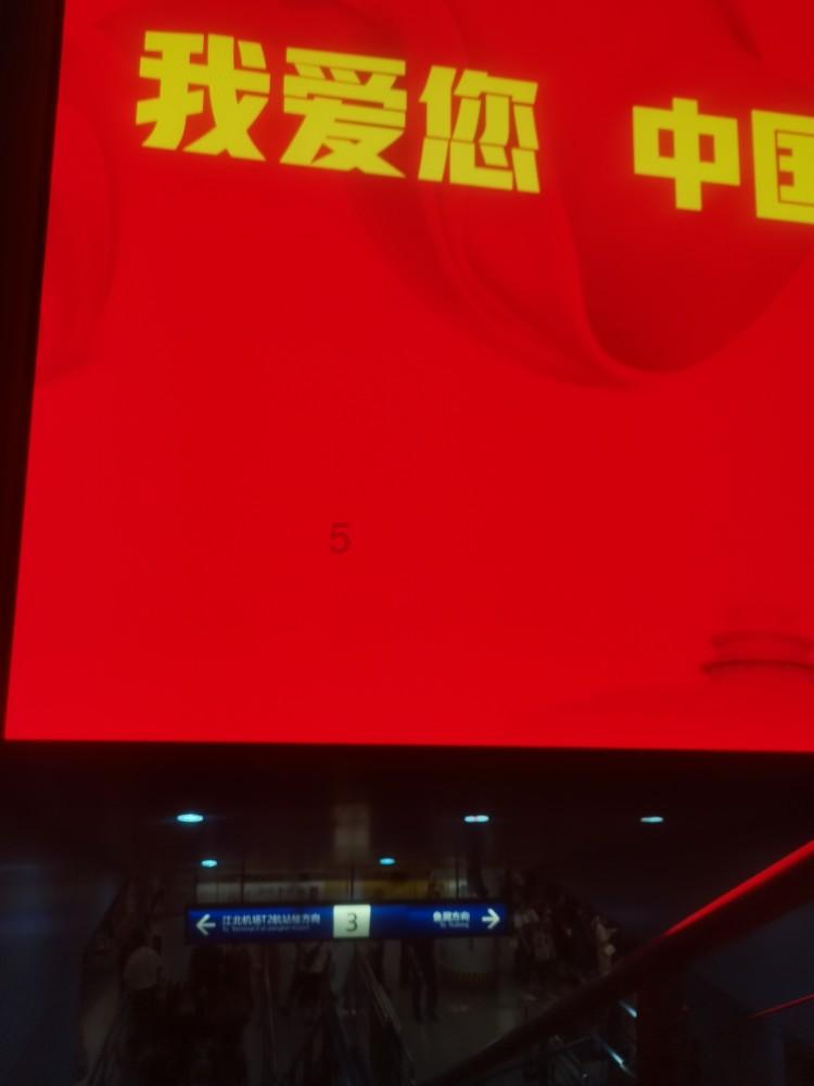 逃离奇异森林