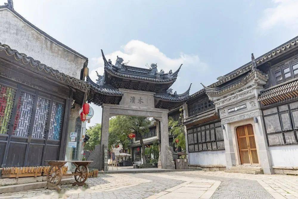 丛林之决战